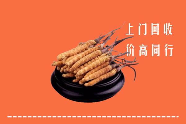 高价求购：三亚市崖州回收散虫草