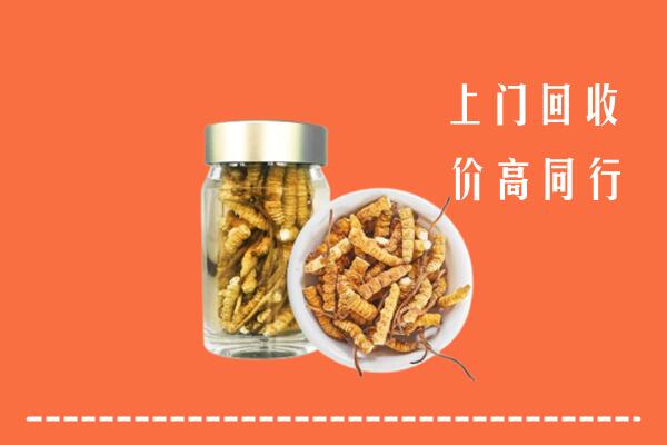 三亚市崖州回收冬虫夏草