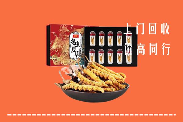 三亚市崖州回收虫草